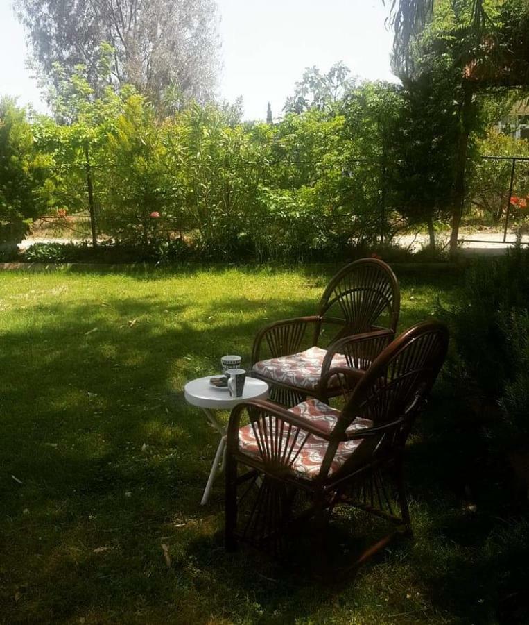 Nostalgia World Otel Kızılot المظهر الخارجي الصورة